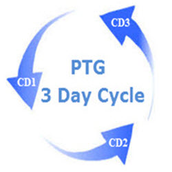 3 Day Cycle (a.k.a. Taylor Trading Technique)