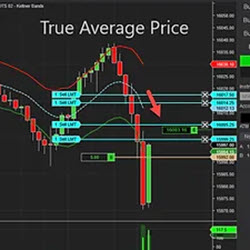 True Average Price Indicator