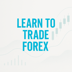 The Profxor Forex Trading Mentorship Program
