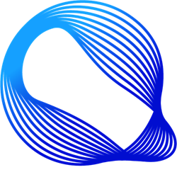 Professional Strategy Development