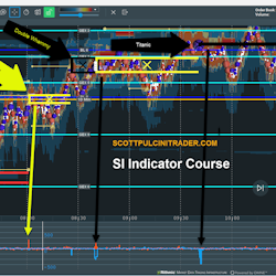 SI Indicator Course New for 2023-2025
