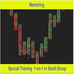 Mentoring