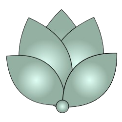 Trade Journaling and Trade Copier Software