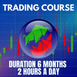 Entrenamiento de Trading (6 Meses)