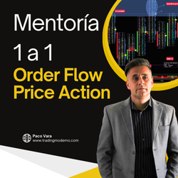 Mentoría 1 a 1 en Order Flow y Acción del Precio con Paco Vara