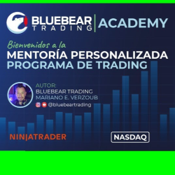 Mentoria personalizada 1 a 1